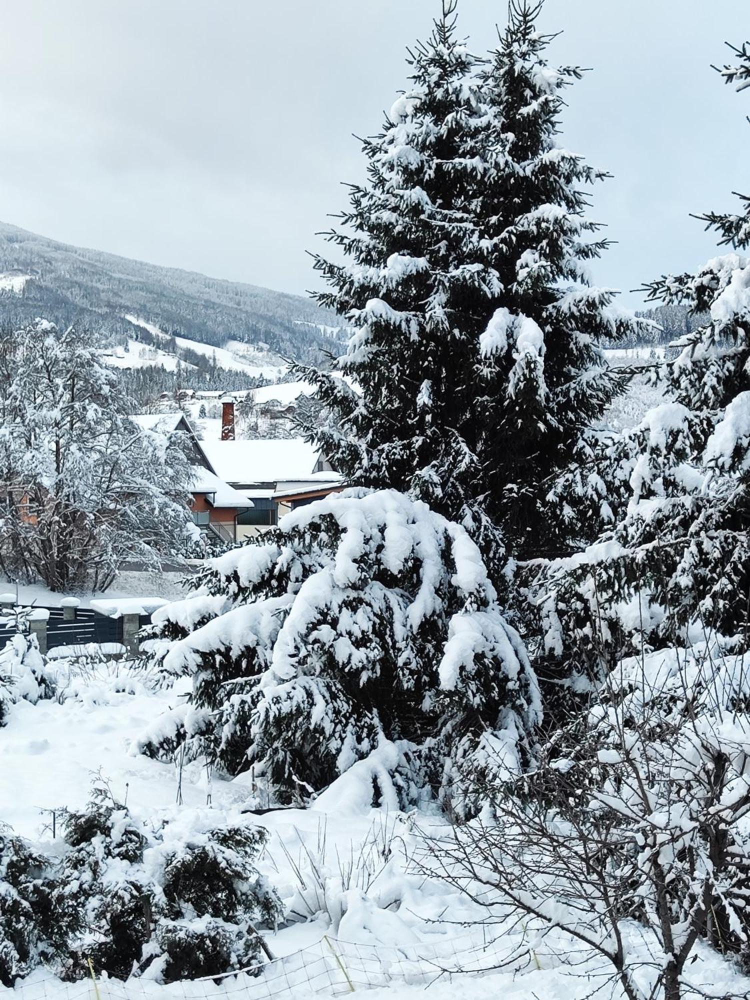 Amtmannhaus Ferienunterkunft เอิร์ดนิง ภายนอก รูปภาพ
